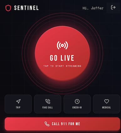 Sentinel screenshot 1
